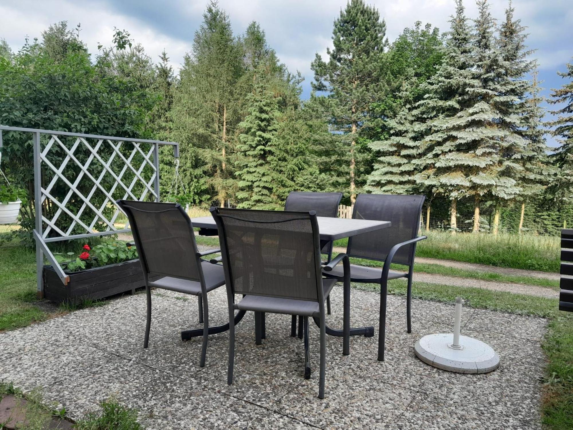Ferienwohnung Blick Zum Zirkelstein Reinhardtsdorf-Schona Exteriör bild