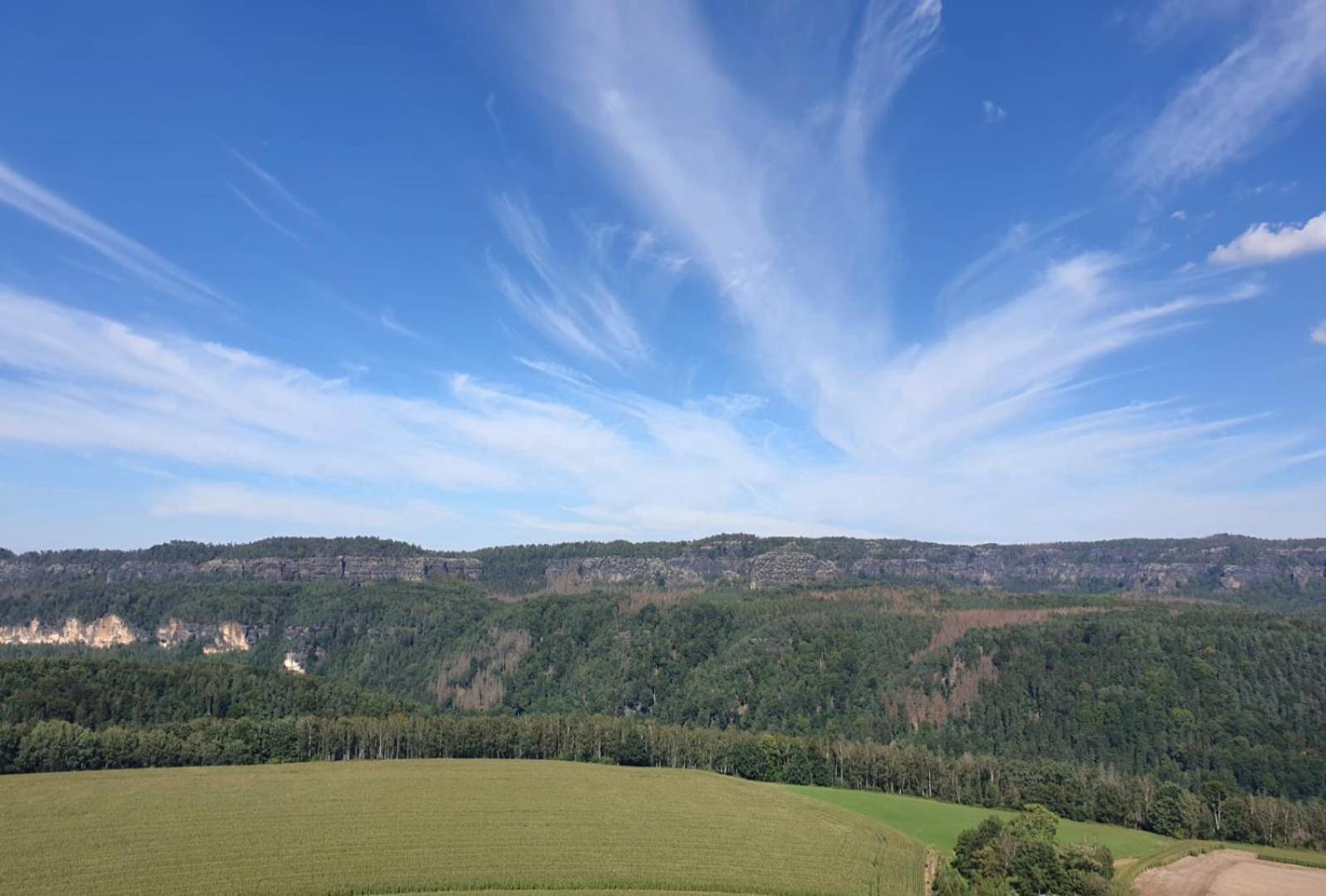 Ferienwohnung Blick Zum Zirkelstein Reinhardtsdorf-Schona Exteriör bild